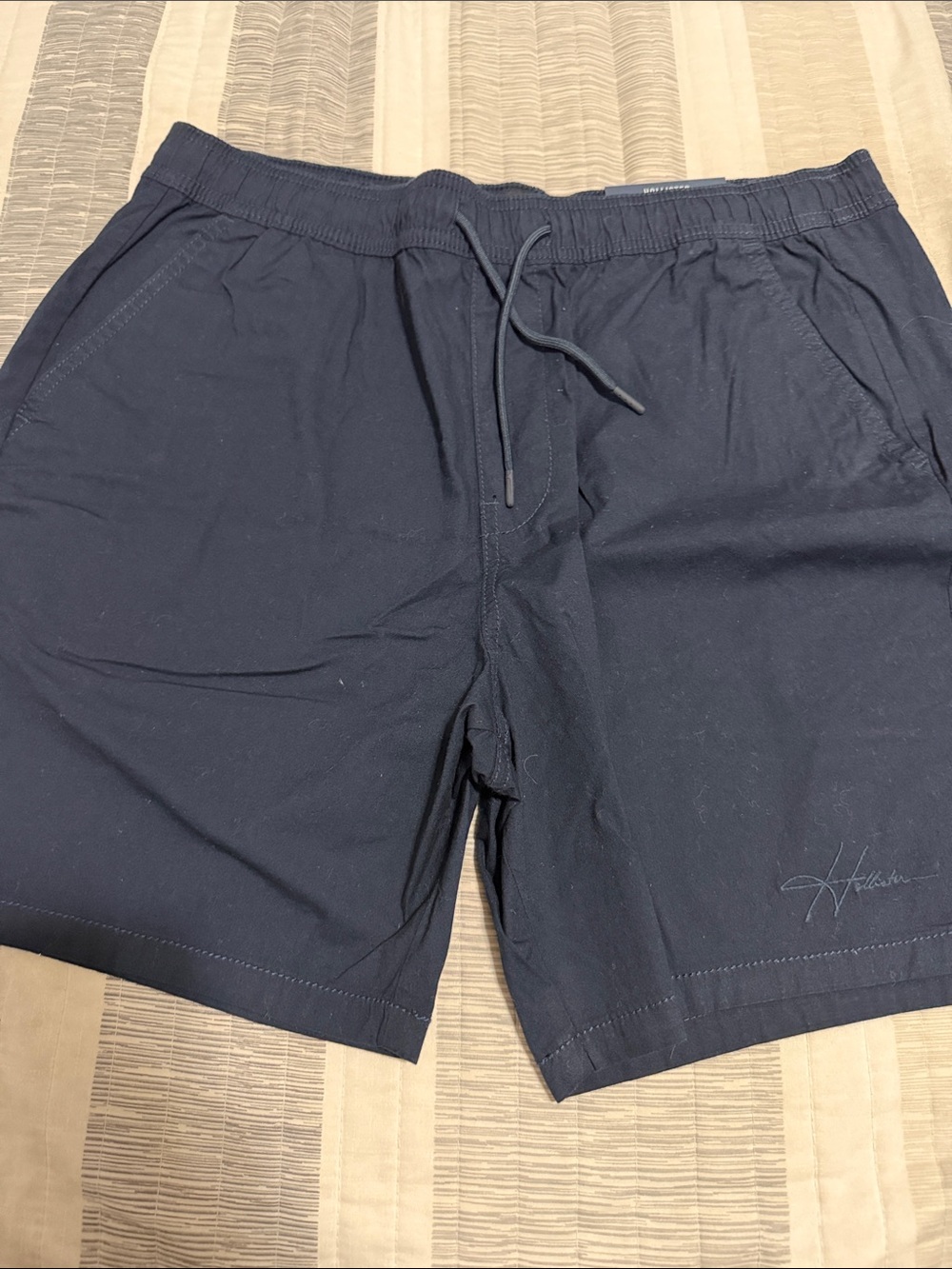 Hollister Men’s Navy Cargo Shorts